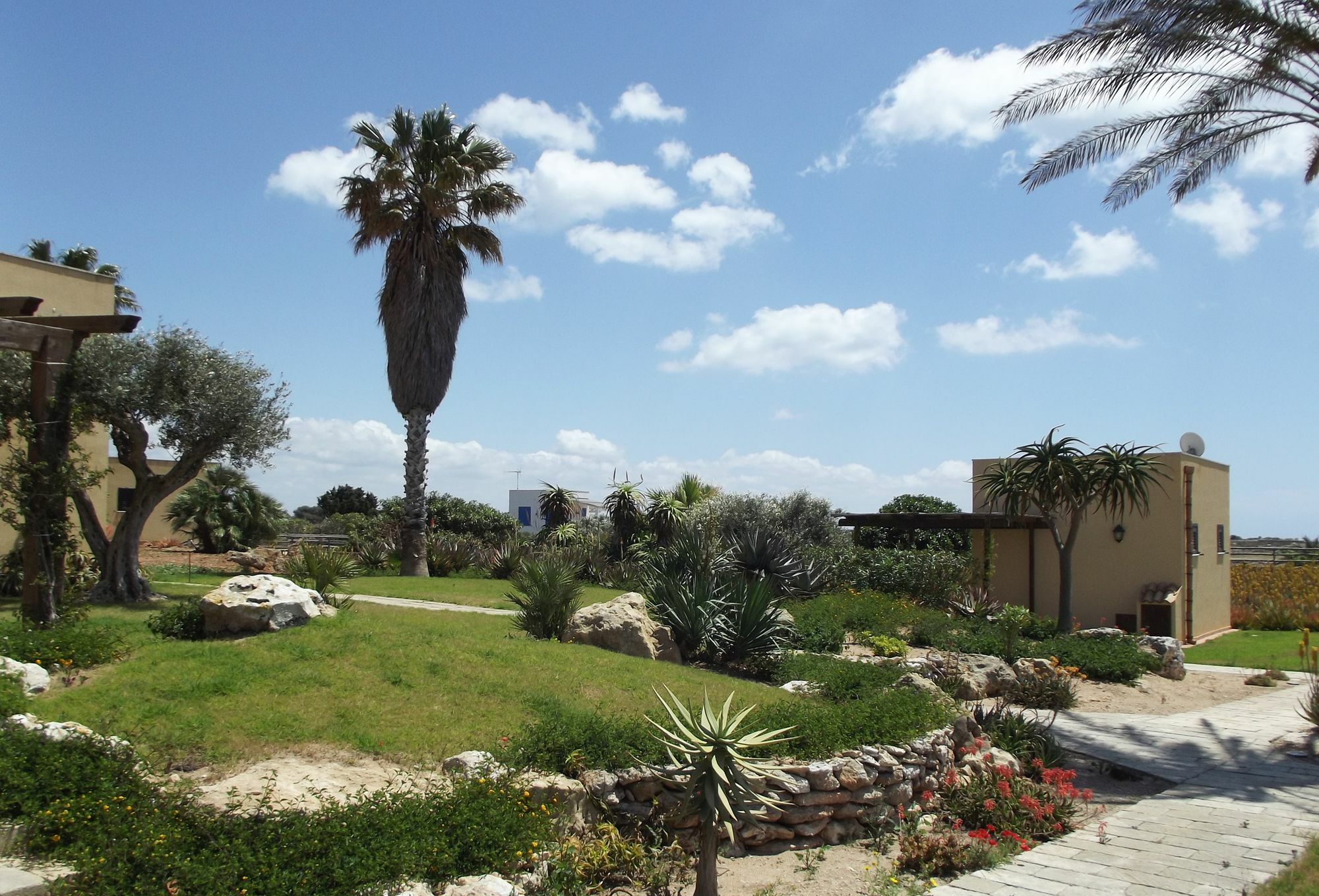 Il Giardino Delle Aloe Guest House Favignana Bagian luar foto