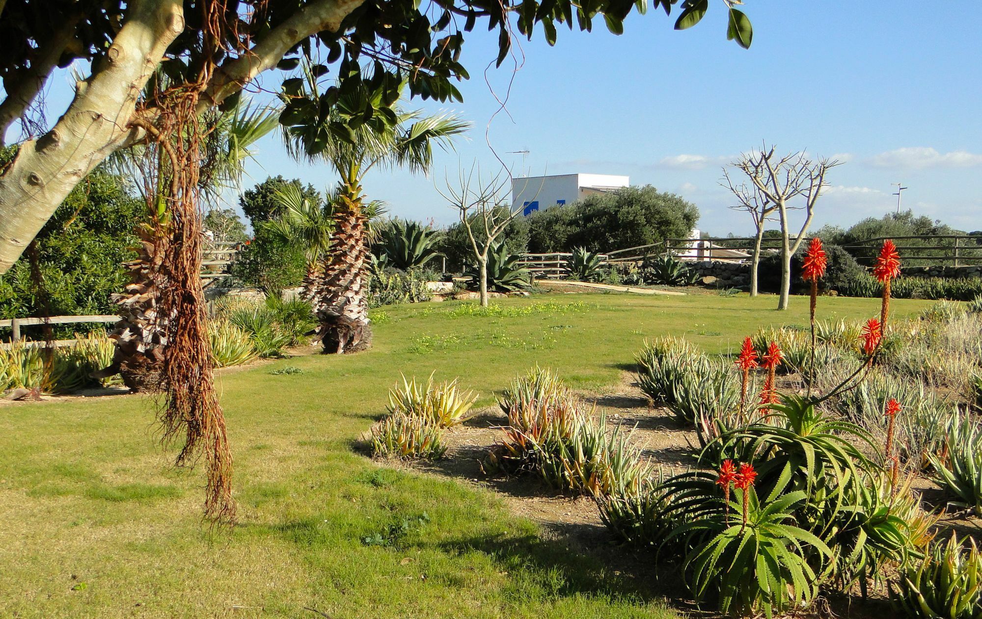 Il Giardino Delle Aloe Guest House Favignana Bagian luar foto