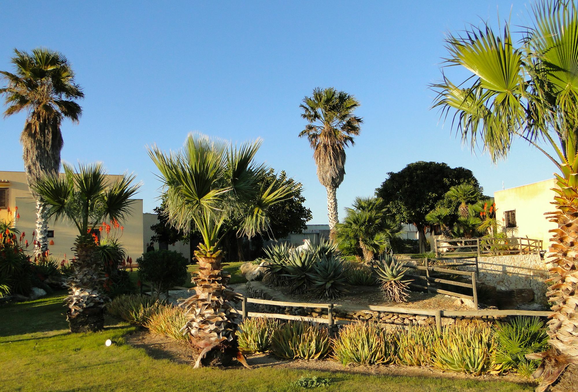 Il Giardino Delle Aloe Guest House Favignana Bagian luar foto