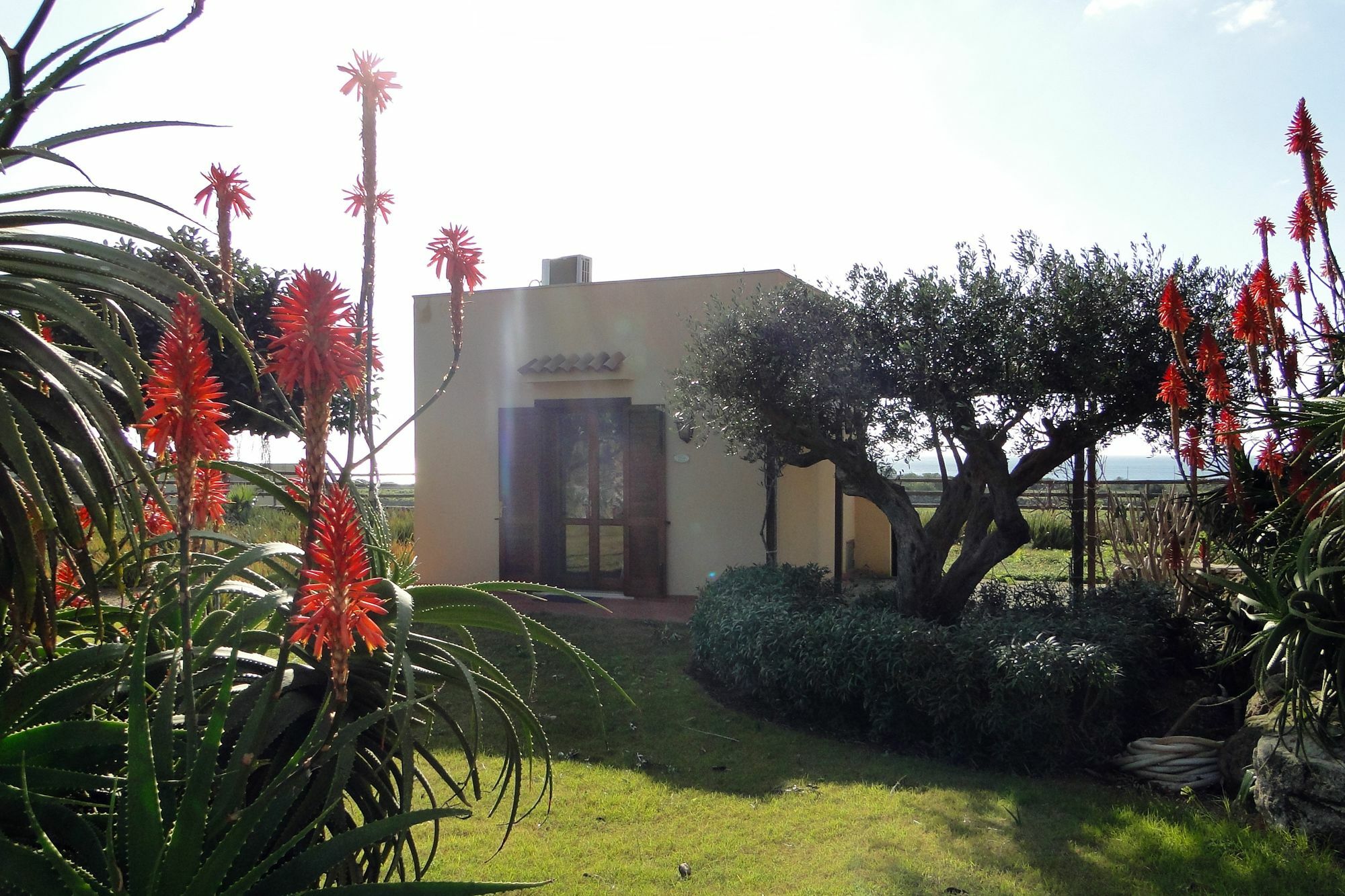 Il Giardino Delle Aloe Guest House Favignana Bagian luar foto